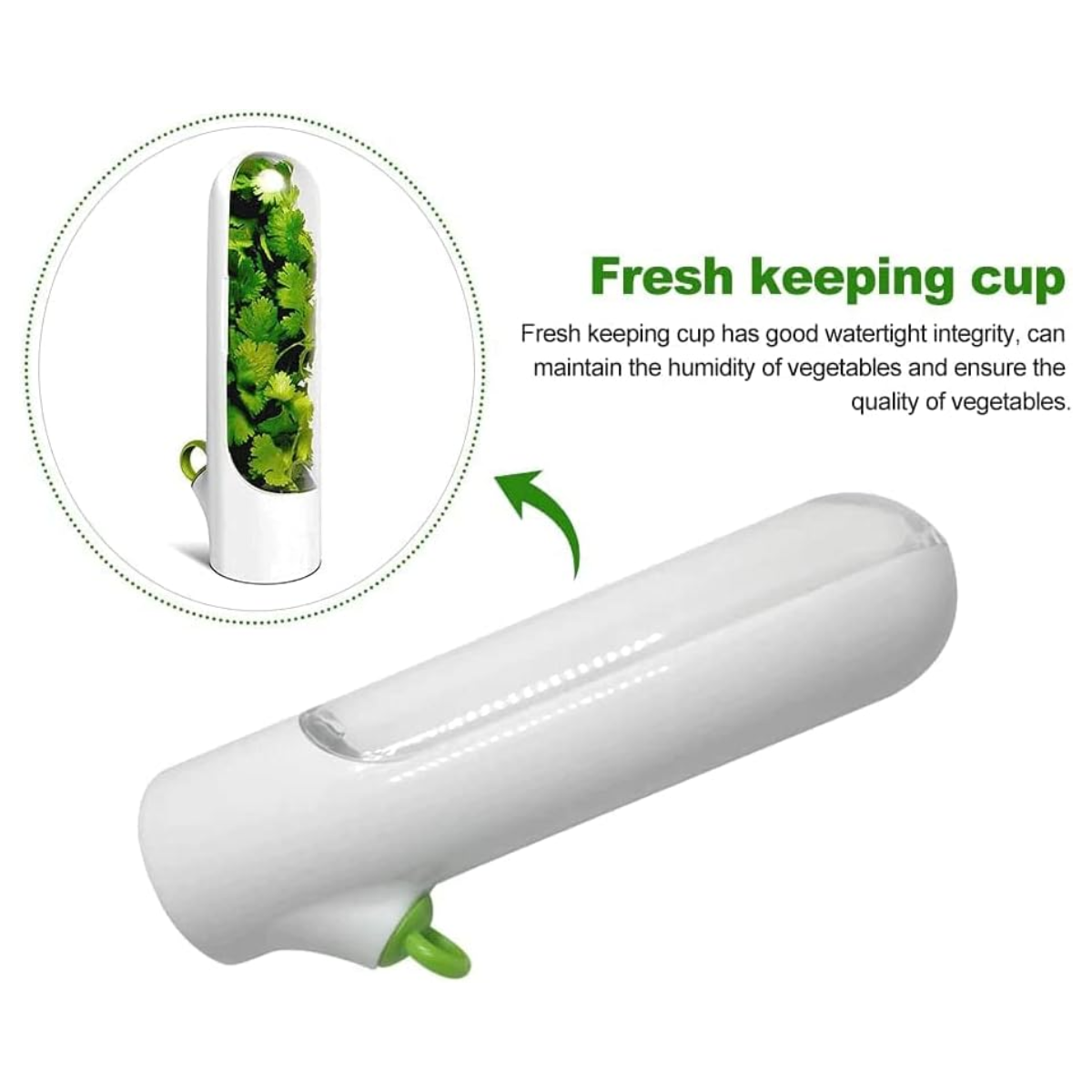 Conservador de verdura pd-78